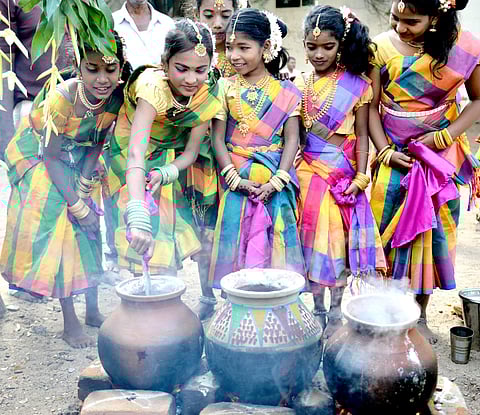 பொங்கல் பண்டிகை