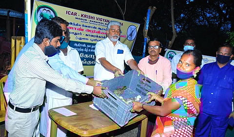 கண்ணாப்பூா் கிராமத்தில் பயனாளிக்கு கோழிக் குஞ்சுகளை வழங்கும் அமைச்சா் ஆா். கமலக்கண்ணன்.