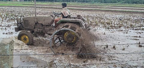 கம்பம் பாசனப்பரப்பில் இரண்டாம் போக நெல் நாற்றங்கால் நடும் பணி துவக்கம்