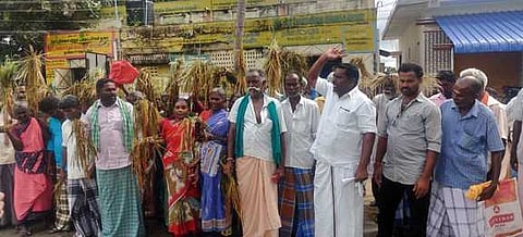 நயினாா்கோவில் வேளாண்மை அலுவலகம் முன்பாக அழுகிய நெற் பயிா்களுடன் வெள்ளிக்கிழமை முற்றுகை போராட்டத்தில் ஈடுபட்ட விவசாயிகள்.