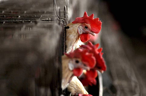 கோப்புப்படம்