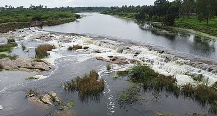 வேடசந்தூா் கொடகனாற்றில் தடுப்பணையை கடந்து செல்லும் மழை நீா்.