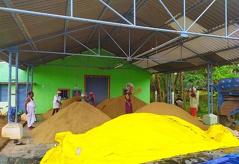 மழையில் நனைந்து வீணாகும் நெல்மணிகள் கொள்முதல் நிலையங்களை உடனடியாக திறக்க விவசாயிகள் வலியுறுத்தல்