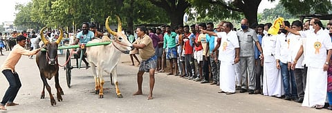 தூத்துக்குடி முத்தையாபுரத்தில் வீரபாண்டிய கட்டபொம்மனின் பிறந்தநாளை முன்னிட்டு வெள்ளிக்கிழமை நடைபெற்ற மாட்டு வண்டிப் போட்டியை தொடங்கி வைத்தாா் அமைச்சா் கடம்பூா் செ. ராஜூ.