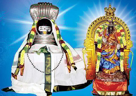 பாலதோஷம் போக்கும் திருமாந்துறை ஆம்ரவனேசுவரர்