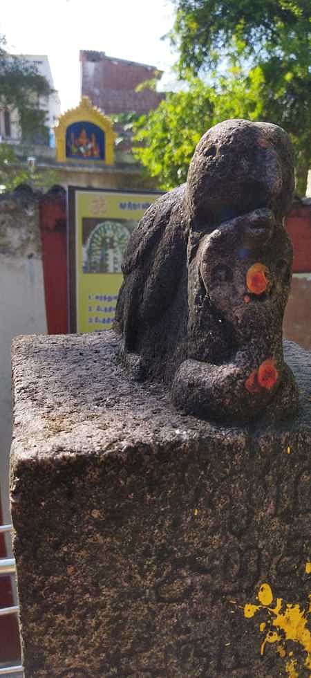 மதுரை விராட்டிபத்து பகுதியில் கண்டறியப்பட்டுள்ள விஷமுறிவு என்றழைக்கப்படும் கருட கல்வெட்டு.