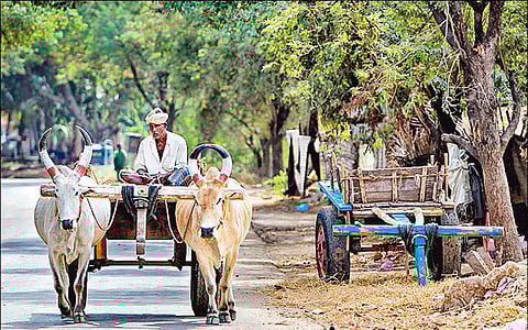 வியக்க வைக்கும் மாட்டுவண்டி