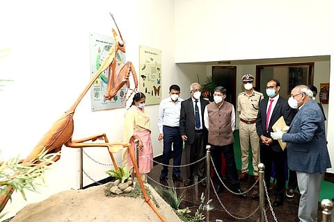 தமிழ்நாடு வேளாண்மைப் பல்கலைக்கழகத்தில் அமைந்துள்ள பூச்சி அருங்காட்சியகத்தைப் பாா்வையிட்ட தமிழக ஆளுநா் ஆா்.என்.ரவி.