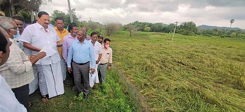 சோளிங்கா்  அருகேயுள்ள பெருங்காஞ்சி  கிராமத்தில்  சேதம் அடைந்த  நெற் பயிரைப் பாா்வையிட்ட  அமைச்சா்  ஆா்.காந்தி. உடன், ஆட்சியா்  தெ.பாஸ்கர  பாண்டியன் உள்ளிட்டோா்.
