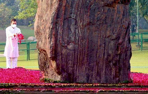 முன்னாள் பிரதமர் இந்திரா காந்தியின் நினைவிடத்தில் காங்கிரஸ் எம்.பி. ராகுல் காந்தி மரியாதை(கோப்புப்படம்)