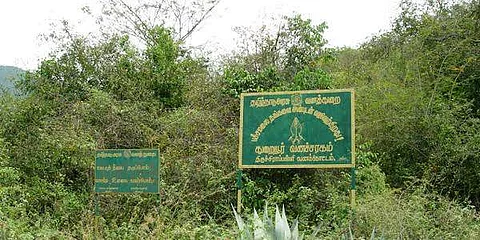 தொடர் மழையால் பச்சமலை 6 ஆவது வளைவில் மலைச்சரிவு