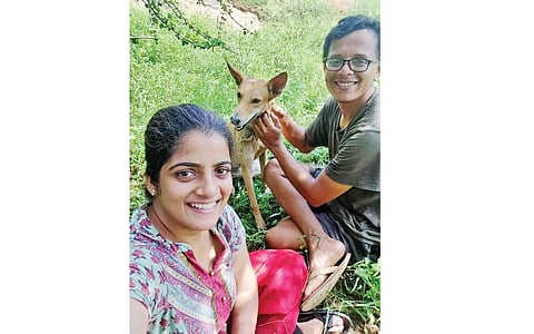 இயற்கையை  நோக்கி பயணம்!