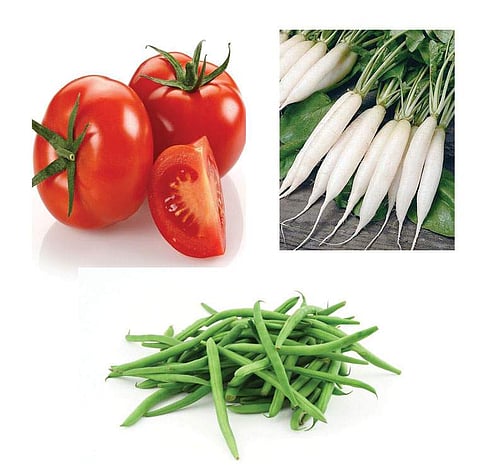 சப்பாத்தி மிருதுவாக இருக்க...