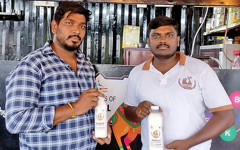 ஓ! போட வைக்கும் ஒட்டகப் பால் !