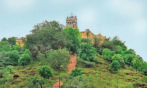 சுந்தரருடன் திருவிளையாடல் புளியமரத்தில் மறைந்த சிவன்! 