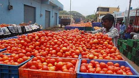 Tomato prices continue to rise in Chennai  