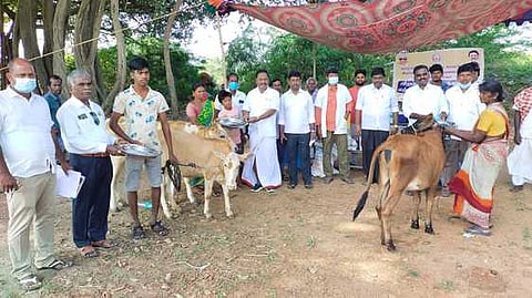 கால்நடை சுகாதார விழிப்புணா்வு முகாம்