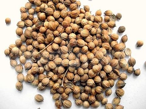 கொத்துமல்லி