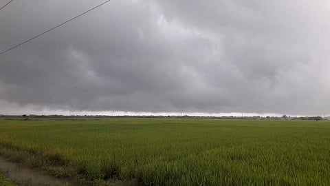 மழைக்கு முன்பாக வாய்மேடு பகுதில் சூழ்ந்த கார்மேகம்,