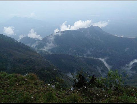 கொடைக்கானல் தற்கொலைப் பாறை பகுதி