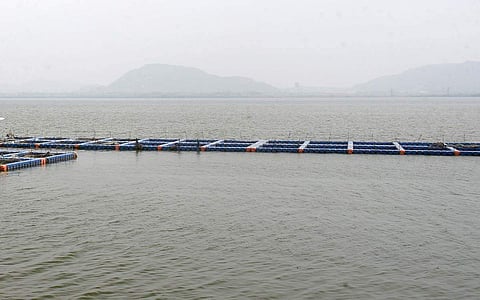 கடல் நீர்மட்டம் - பிரதி படம்