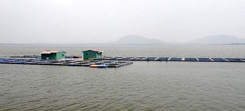 நீா்வளத் துறைக்கு ரூ.10,076 கோடி ஒதுக்கீடு