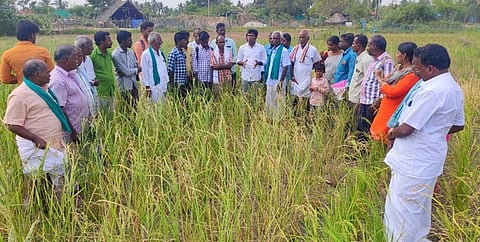 வயல்வெளி பயிற்சியில் பங்கேற்ற விவசாயிகள்.