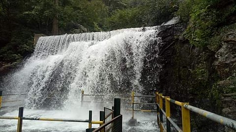 சுருளி அருவி