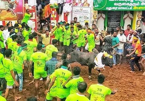 அலங்காநல்லூர் ஜல்லிக்கட்டு போட்டி
