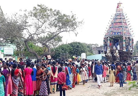 மாசிமக தேரோட்டம்.