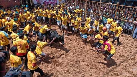 ஜல்லிக்கட்டு (கோப்புப் படம்)