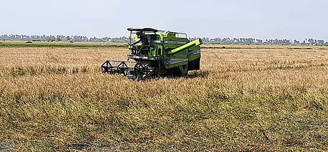 கோப்புப்படம். 