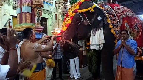 சிறப்பு நல வாழ்வு முகாமுக்கு அனுப்புவதற்காக சனிக்கிழமை இரவு லாரியில் ஏற்றப்பட்ட ராமேசுவரம் ராமநாதசுவாமி கோயில் யானை ராமலட்சுமி.