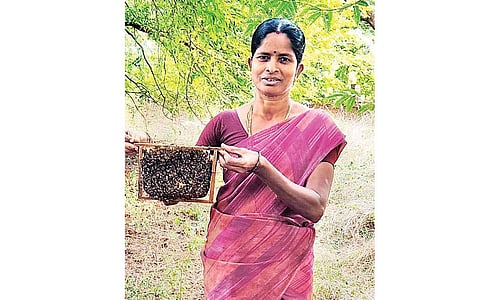 வாழ்க்கையை இனிமையாக்கிய தேனீ