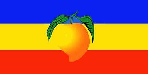 புதுச்சேரியில் பாமக தனித்துப் போட்டி