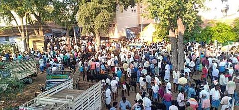 பென்னாகரம் வாரச் சந்தைக்கு ஆடுகள் வாங்க வந்த வியாபாரிகள்.