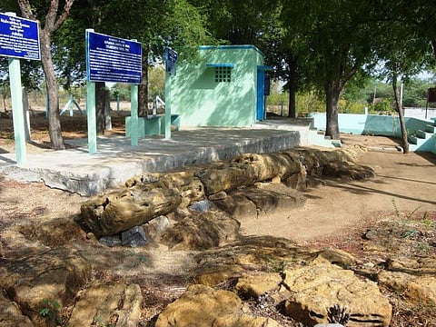சாத்தனூர் தேசிய கல்மரப் பூங்கா
