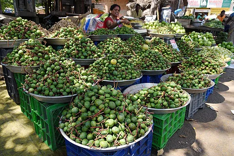 கோடை வெப்பம் தொடர்ந்து அதிகரித்து வரும் நிலையில், சென்னை மயிலாப்பூர் வீதிகளை ஆக்கிரமித்துள்ள மாவடு.