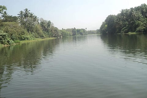 விளவங்கோடு தொகுதியை வளம் கொழிக்கச் செய்யும் குழித்துறை தாமிரவருணி ஆறு.