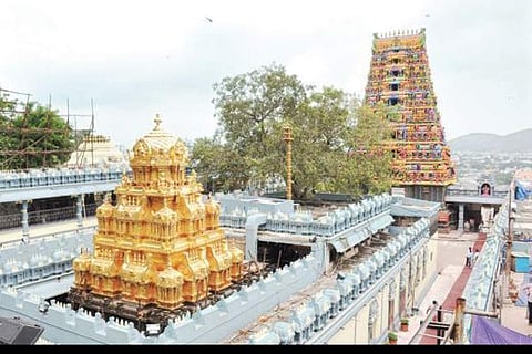 கரோனா பயத்தால்  வீடுகளை காலி செய்துவிவசாய நிலங்களில் தஞ்சமடையும் மக்கள்