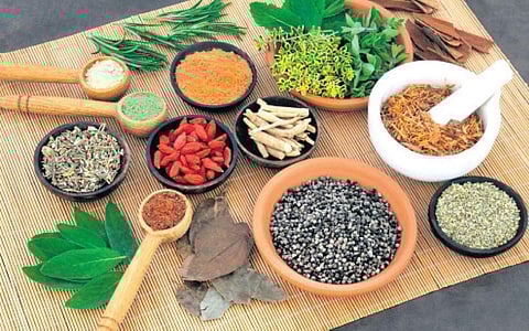 ஆயுள் காக்கும் ஆயுர்வேதம்: குழந்தைப் பேறு... ஆயுர்வேத சிகிச்சை!