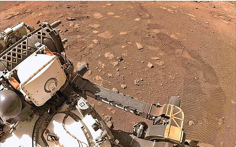 அனிமேஷன் அல்ல... நிஜம்!