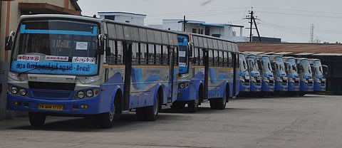 சிறப்புப் பேருந்துகள் இயக்கம்.