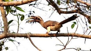 கோப்புப் படம்