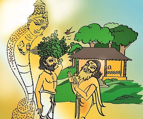 உயிரைக் காத்த துளசி இலை!