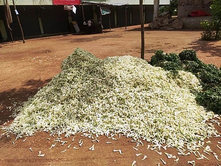 உரிய விலை கிடைக்காததால், கீரமங்கலத்தில் சாலையோரம் கொட்டப்பட்டுள்ள பூக்கள்.