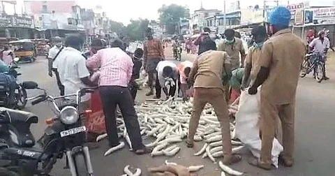 சாலையில் கொட்டிய புடலங்காய்களை முண்டியடித்துக்கொண்டு அந்த காய்களை அள்ளிச் செல்லும் பொதுமக்கள்.