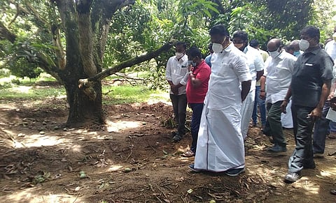 போடியில் ஞாயிற்றுக்கிழமை, சேதமடைந்த மாந்தோப்பு பகுதிகளை நேரில் பாா்வையிட்ட முன்னாள் முதல்வா் ஓ.பன்னீா்செல்வம்.