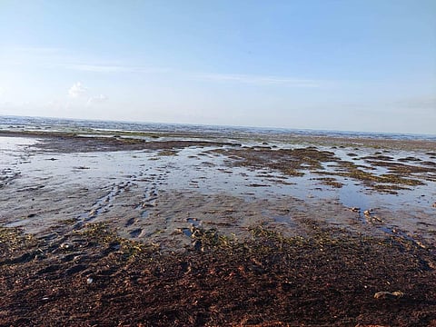 பட்டுக்கோட்டை அருகே அதிராம்பட்டினம் கடல் 200 மீட்டர் உள்வாங்கியது.