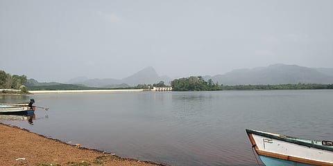 பேச்சிப்பாறை அணை